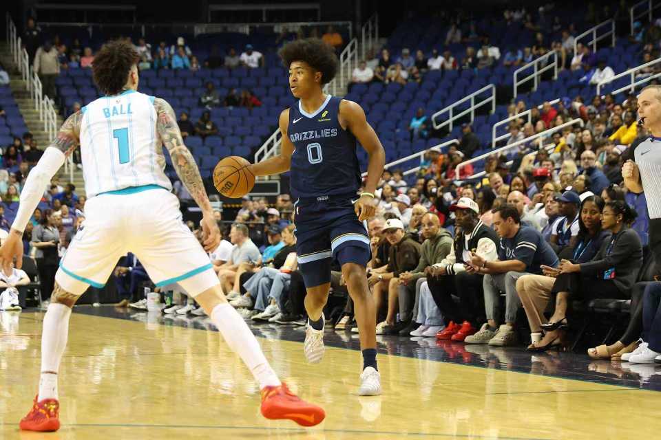 灰熊带着 灰熊带着